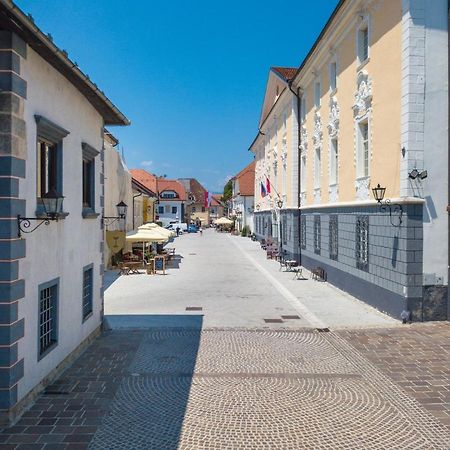 Vila Radolca Apartments & Rooms Radovljica Buitenkant foto