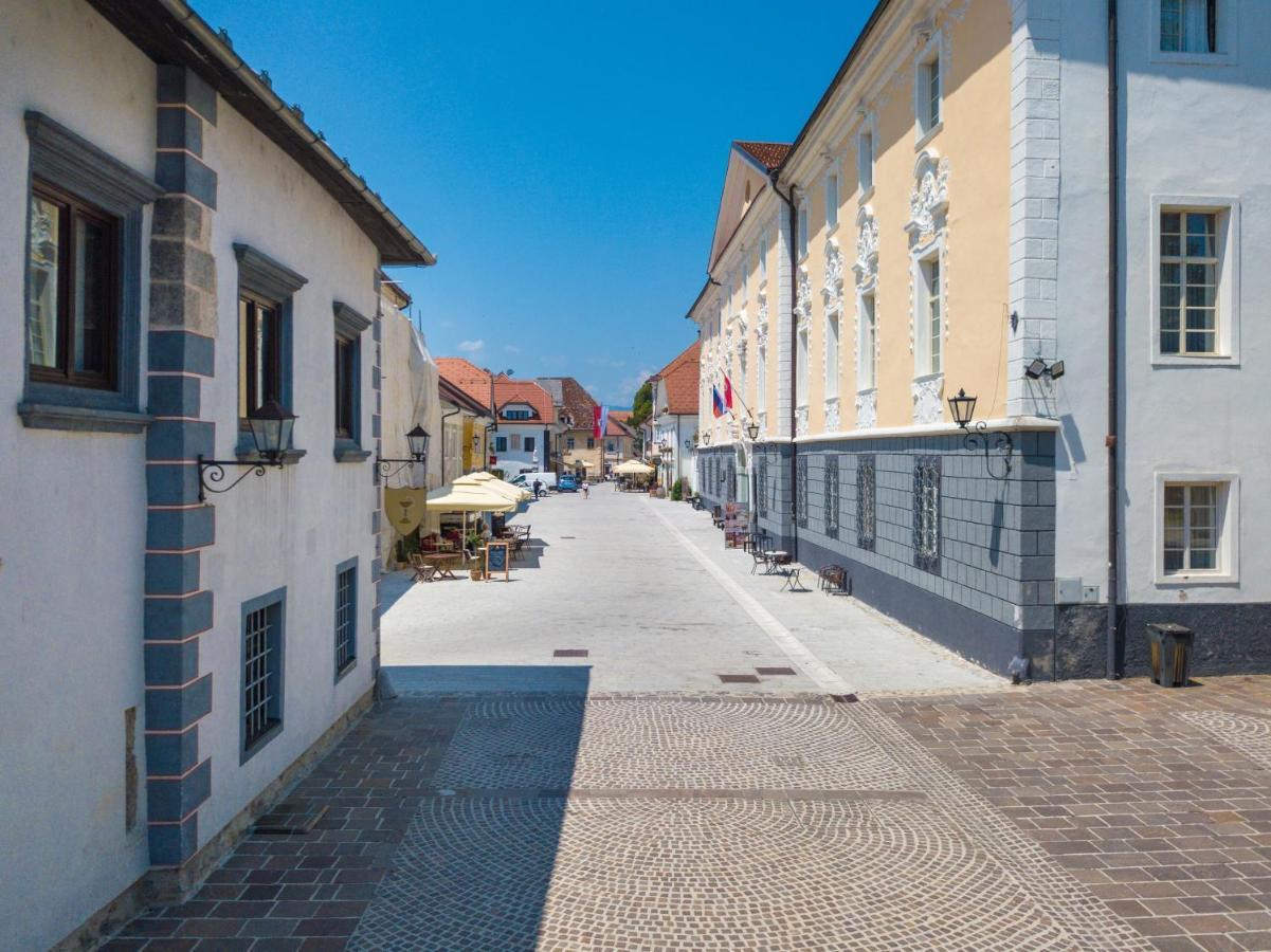 Vila Radolca Apartments & Rooms Radovljica Buitenkant foto