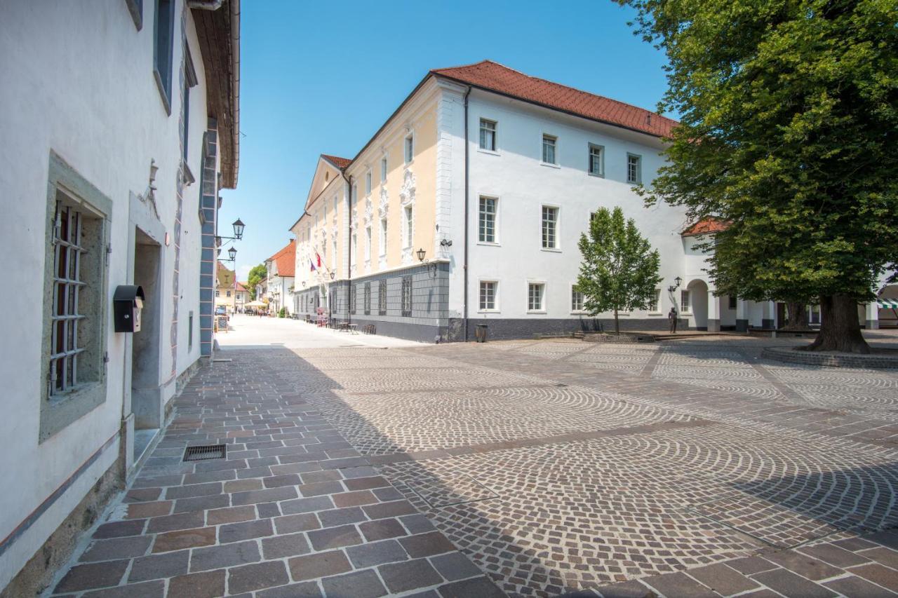 Vila Radolca Apartments & Rooms Radovljica Buitenkant foto