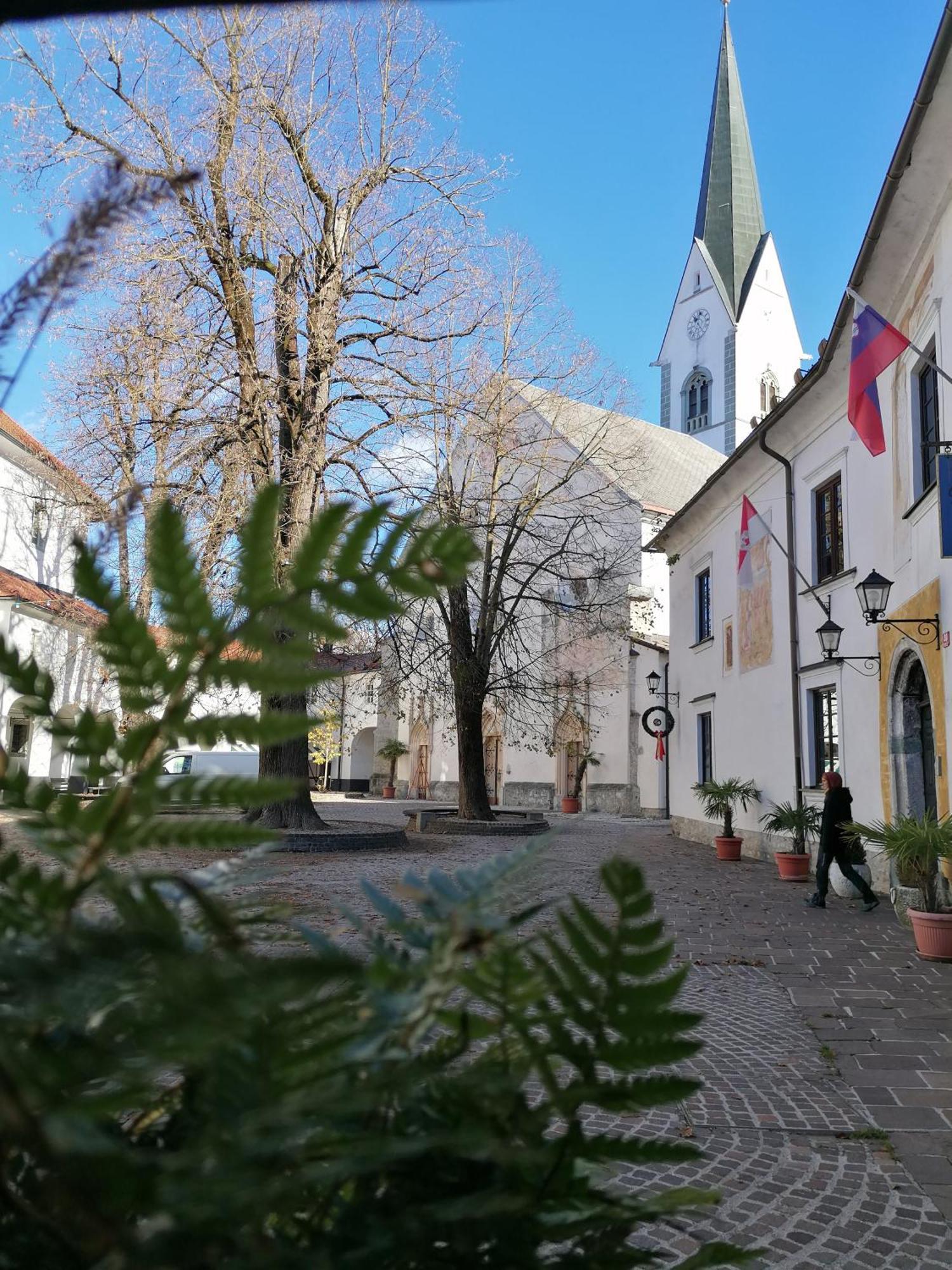 Vila Radolca Apartments & Rooms Radovljica Buitenkant foto